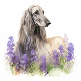 Mouse Pad - Afghan Hound