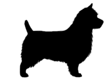 Stickers - Australian Terrier 2