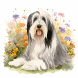 Mouse Pad - Bearded Collie