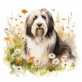 Mouse Pad - Bearded Collie