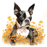 Mouse Pad - Boston Terrier