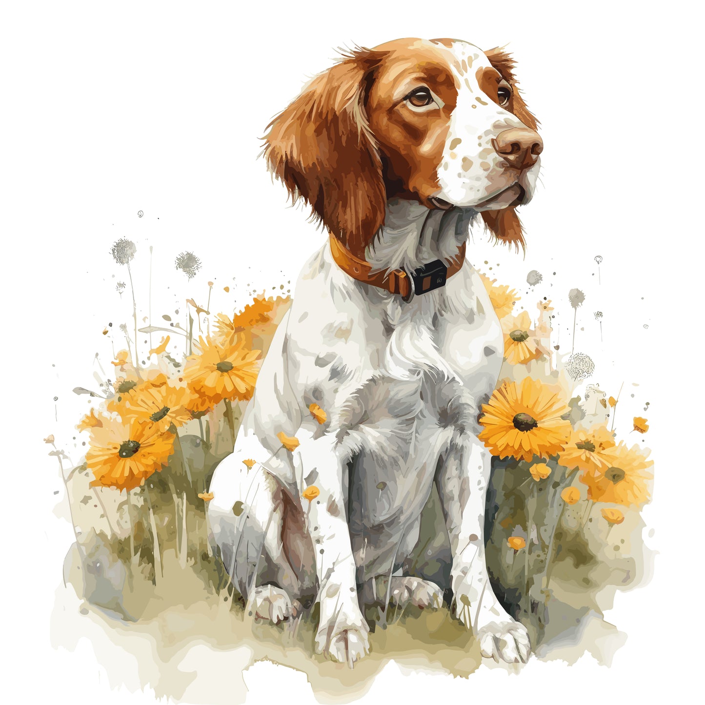 Brittany Spaniel 2