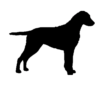 Stickers - Curly Coated Retriever 1