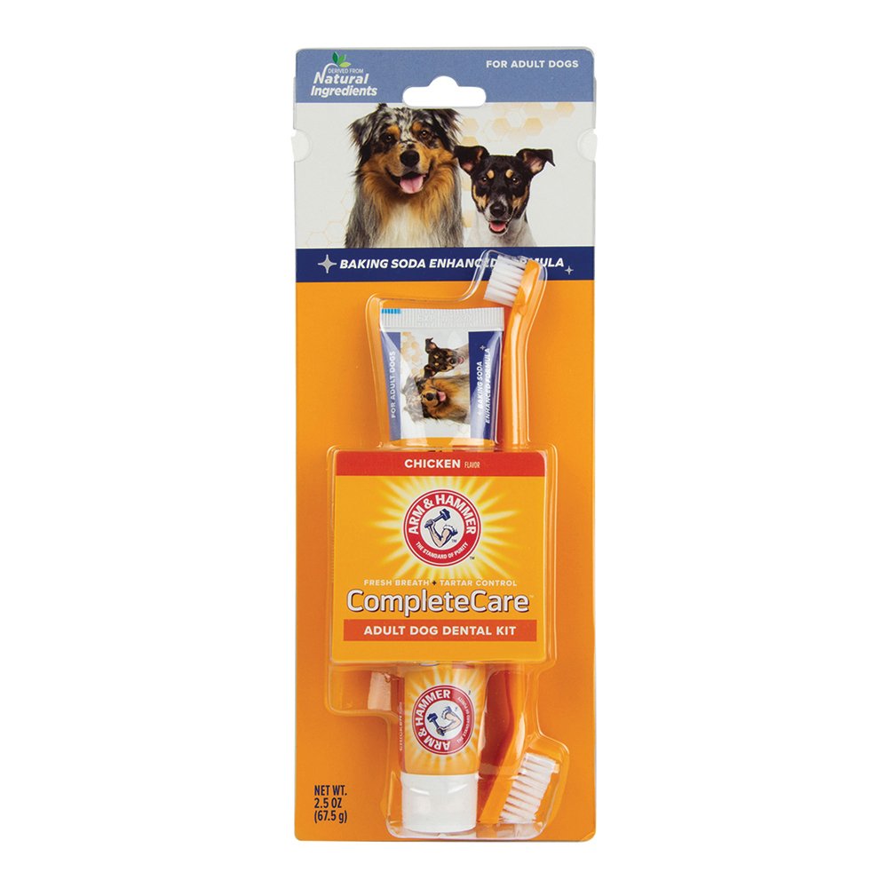 Dental Kit for Dogs