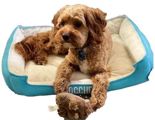 Plush Toys - Display Basket