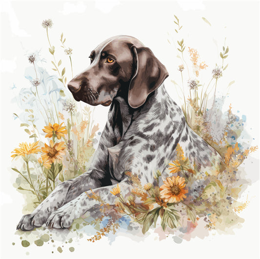German Shorthaired Pointer 4