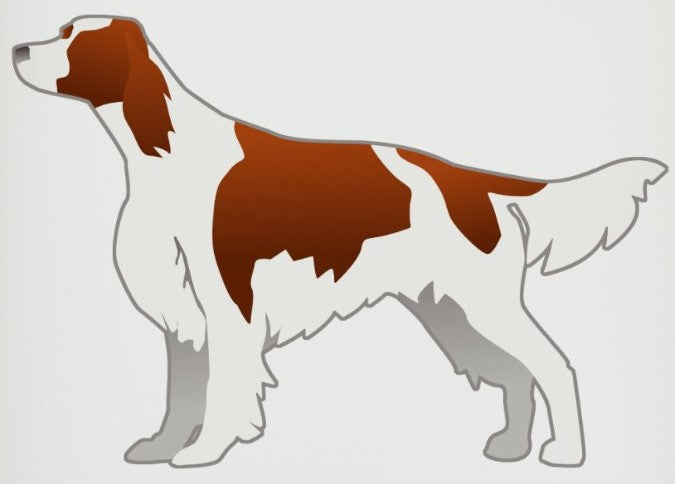 Irish Red & White Setter 1