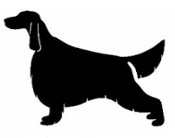 Stickers - Irish Setter