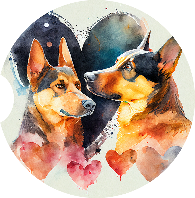 Australian Kelpie 5