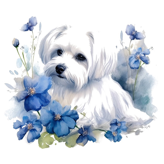 Maltese 2