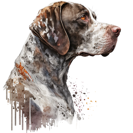 Pointer 1