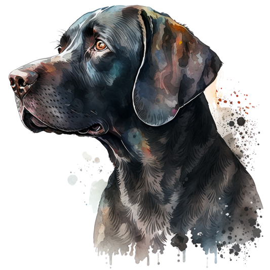 Pointer 10
