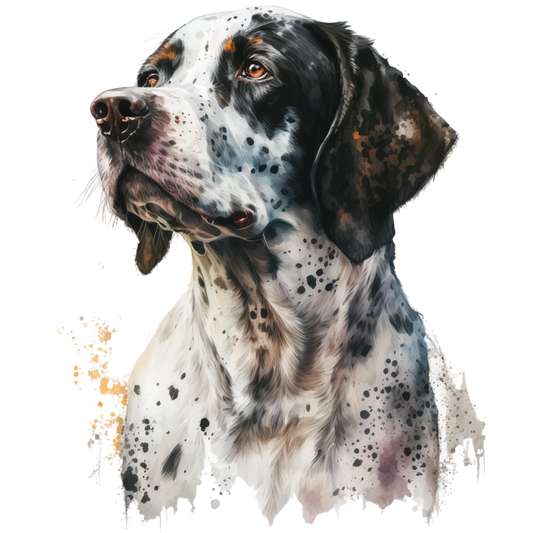 Pointer 2