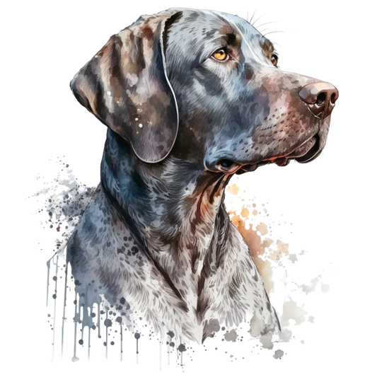 Pointer 5