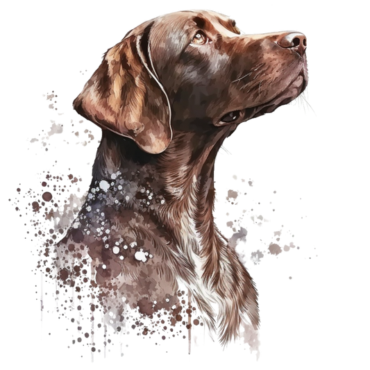 Pointer 6