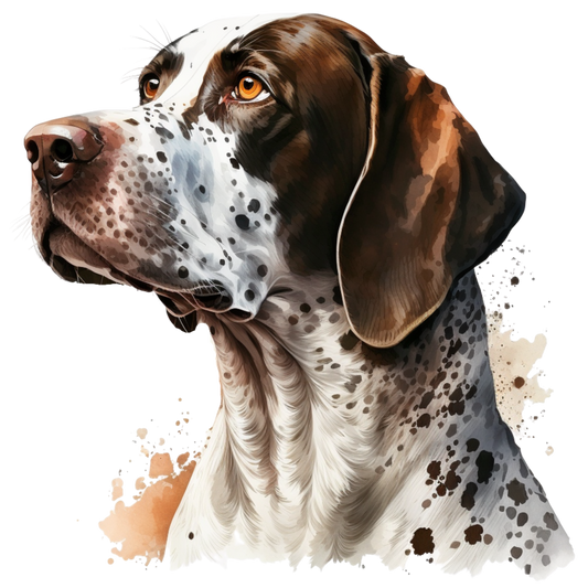 Pointer 9