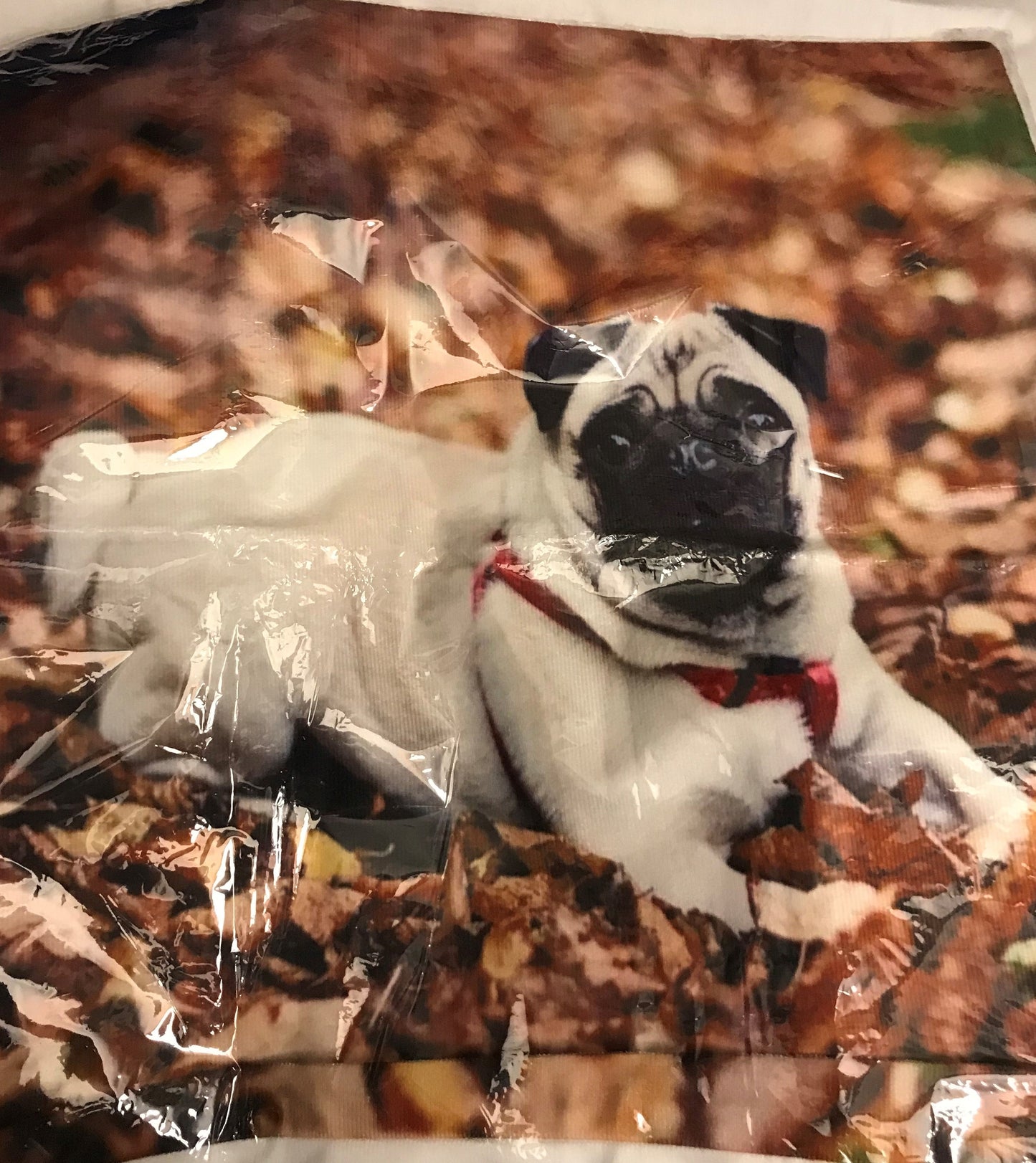 Cushion Covers, Cushion Cover, Crazy Dog Lady