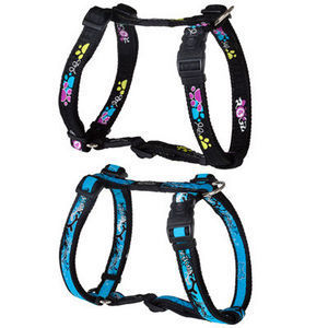 Harness