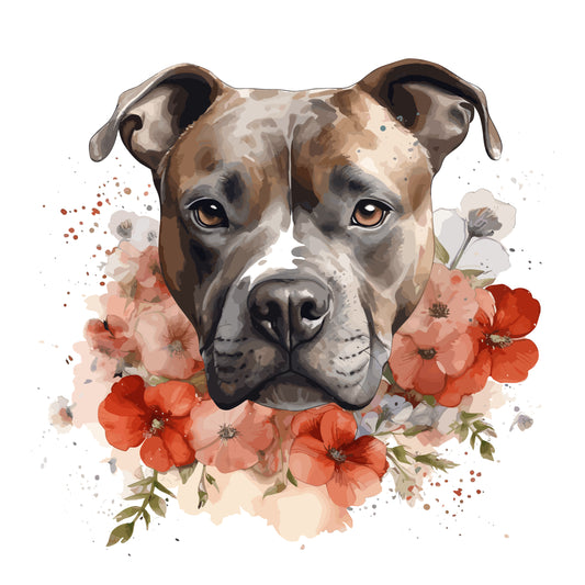 Staffordshire Bull Terrier 12