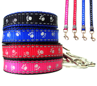 Collars and Leads