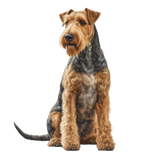 Airedale Terrier - Mouse Pad