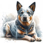 Australian Cattle Dog 9
