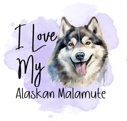 Alaskan Malamute Pictures