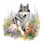 Alaskan Malamute 19