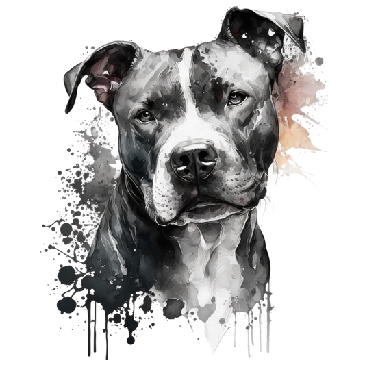 American Staffy 15