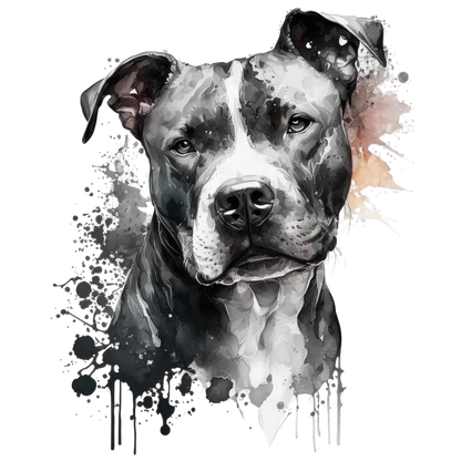 American Staffy Pictures