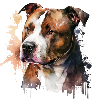 American Staffy Pictures