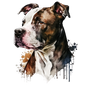 American Staffy 19