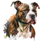 American Staffy 21