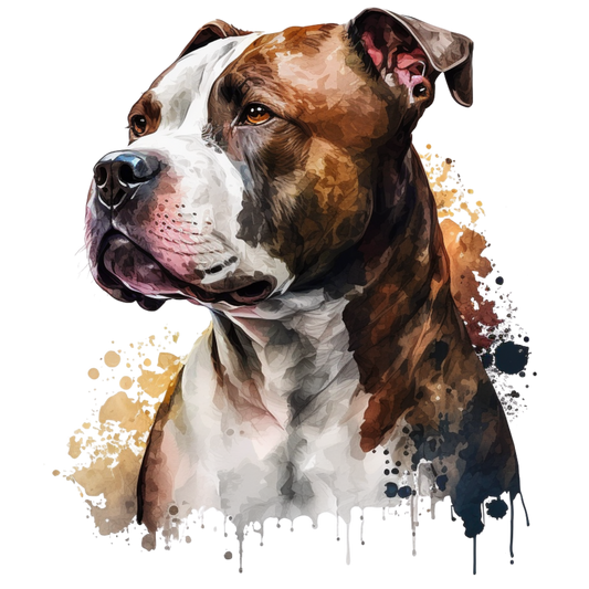 American Staffy 23
