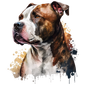 American Staffy 23