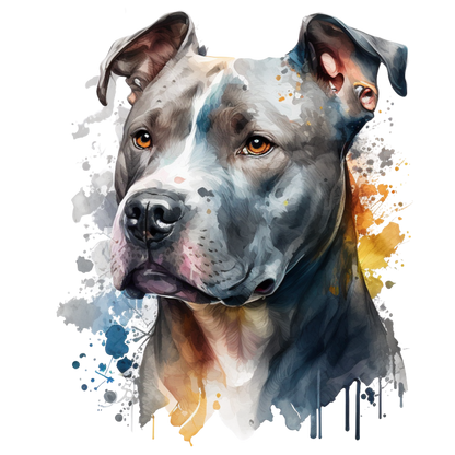 American Staffy Pictures