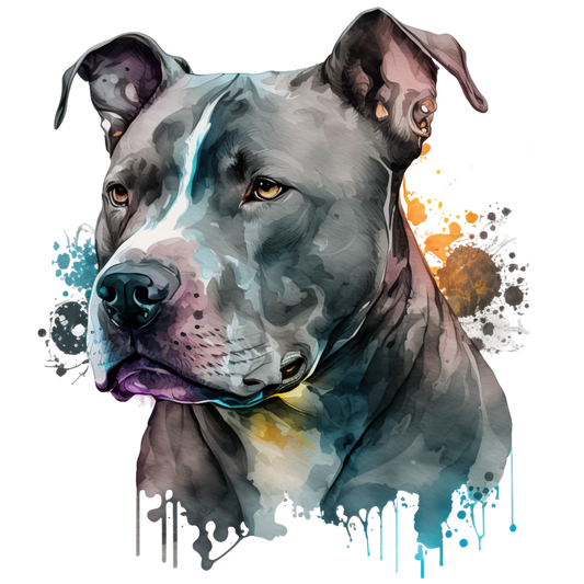 American Staffy 28
