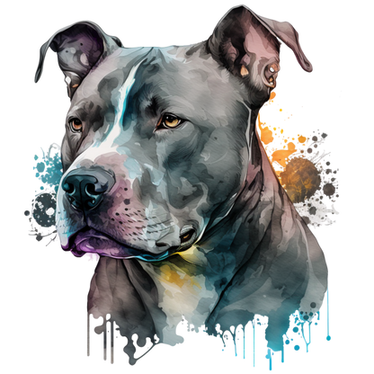American Staffy Pictures