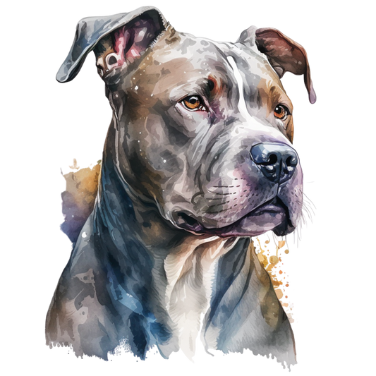 American Staffy 32