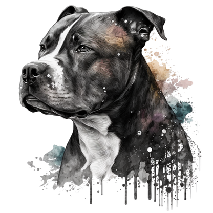 American Staffy Pictures