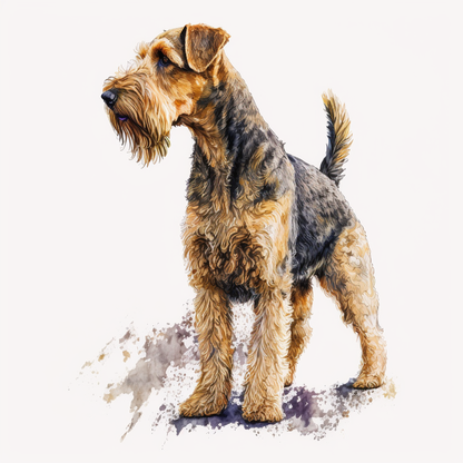 Airedale Terrier Pictures