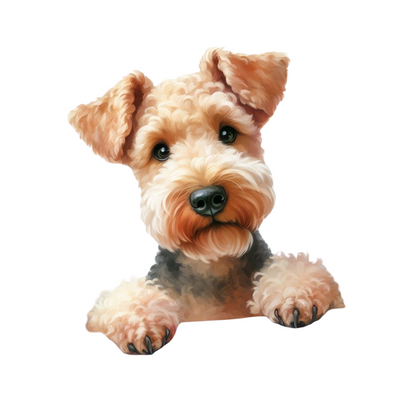 Airedale Terrier Pictures