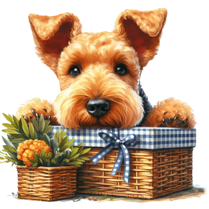 Airedale Terrier Pictures