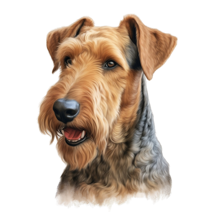 Airedale Terrier Pictures