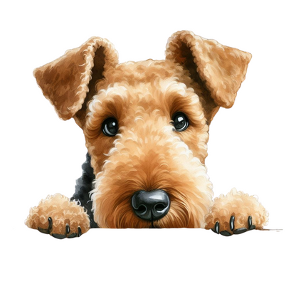 Airedale Terrier Pictures