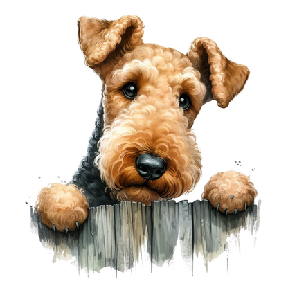 Airedale Terrier Pictures