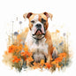 American Bulldog 1