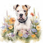American Bulldog 10