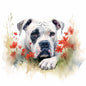 American Bulldog 4