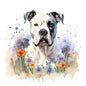 American Bulldog 8